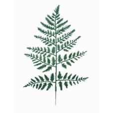 15.25 Inch Plastic Green Leather Fern Leaf Spray (Lot of 12 Picks) SALE ITEM